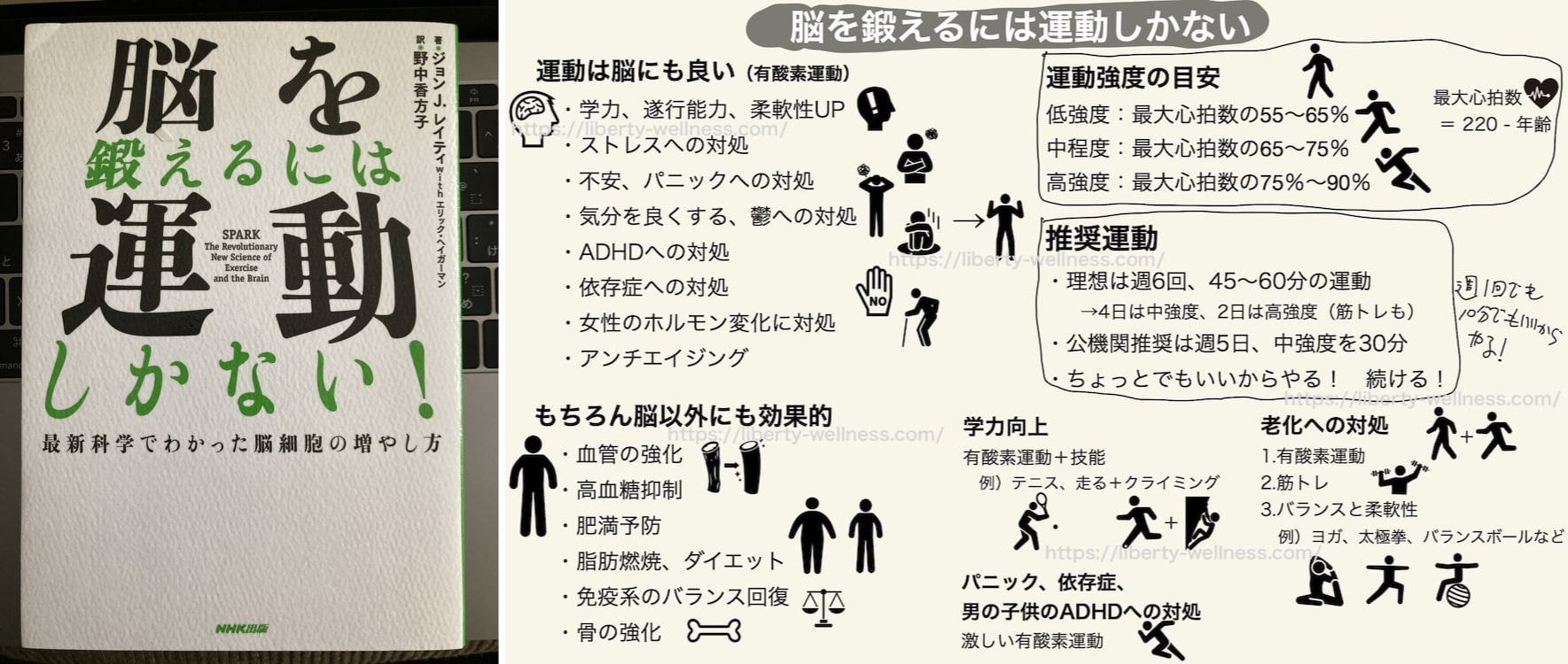 exercise-only-way-train-brain-summary