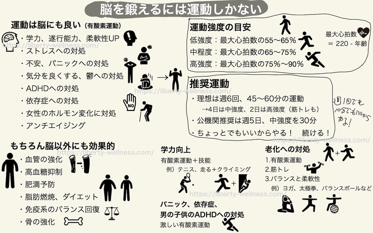 「脳を鍛えるには運動しかない」の要約と推奨運動ピックアップ